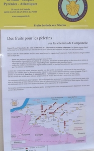 B2088-fruitsPourPelerin.jpg